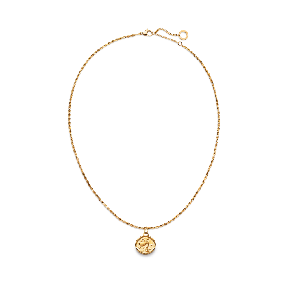 paul-hewitt-aquarius-charm-halsketten-set-gold image 2