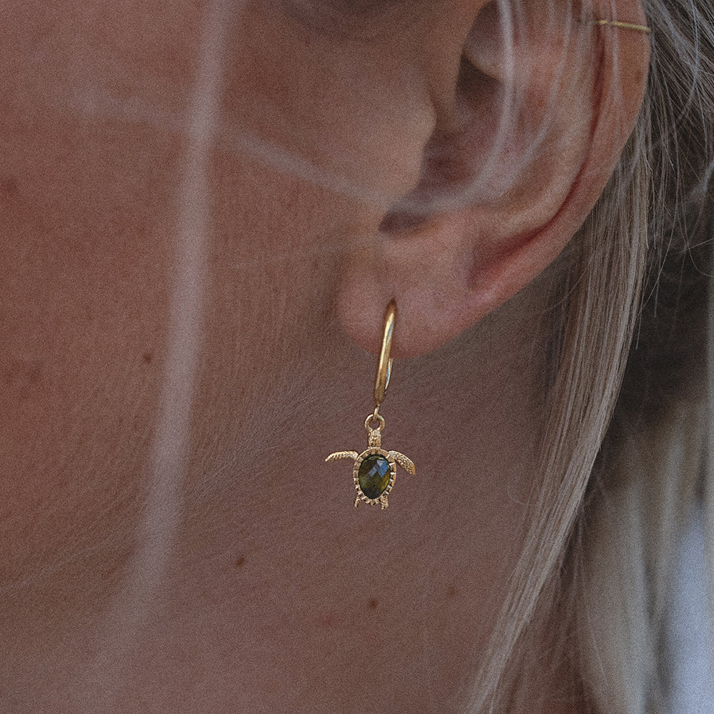paul-hewitt-turtle-hoops-ohrring-gold image 5