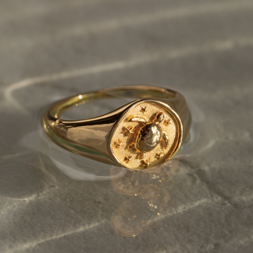 paul-hewitt-turtle-signet-ring-gold image 3