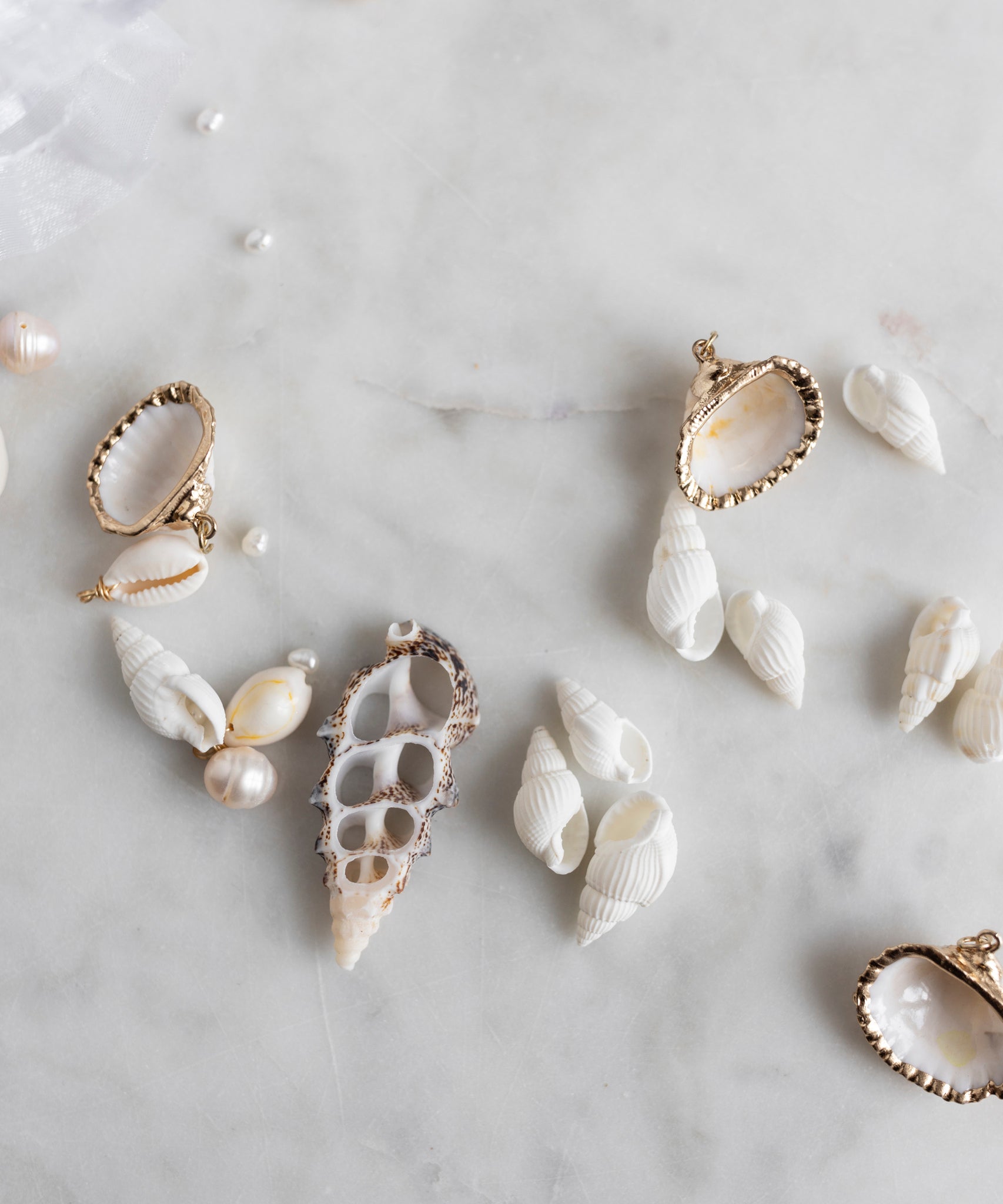 wald-berlin-candyman-shell-kit-echte-muscheln-zum-schmuck-selbermachen image 3