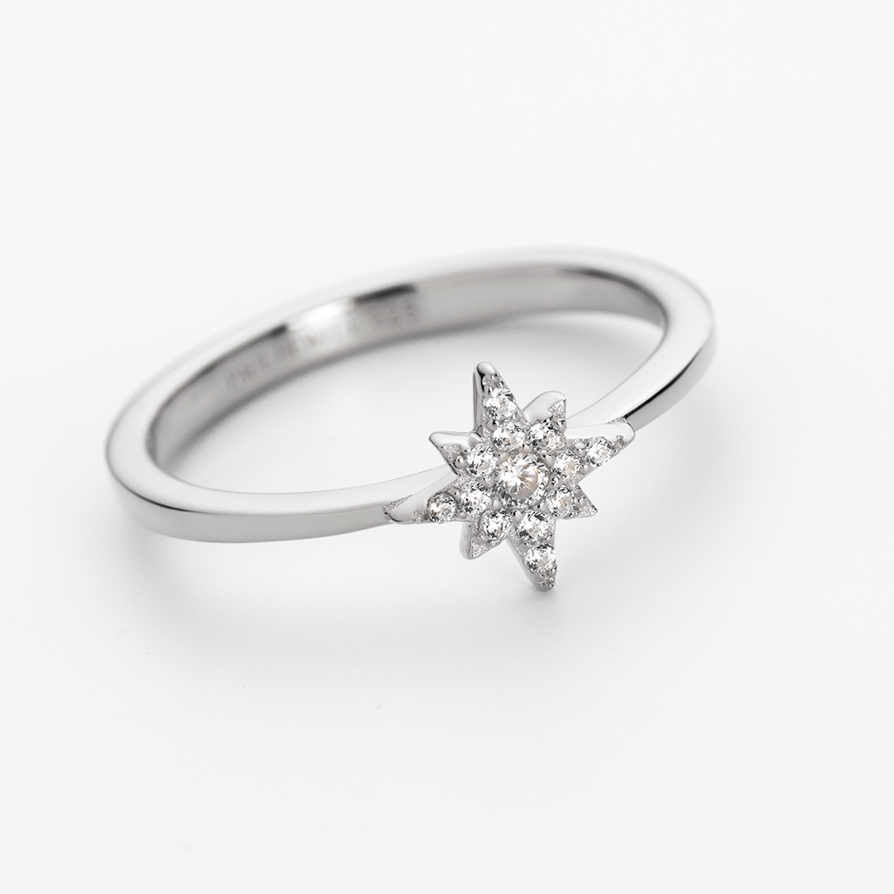 paul-hewitt-windrose-mono-ring-silber image 5