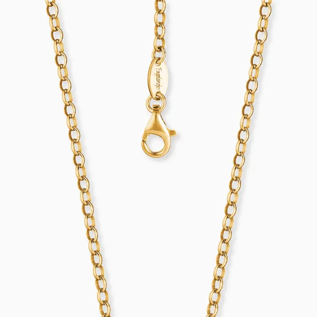 engelsrufer-ankerkette-925er-silber-mit-goldbeschichtung image 1