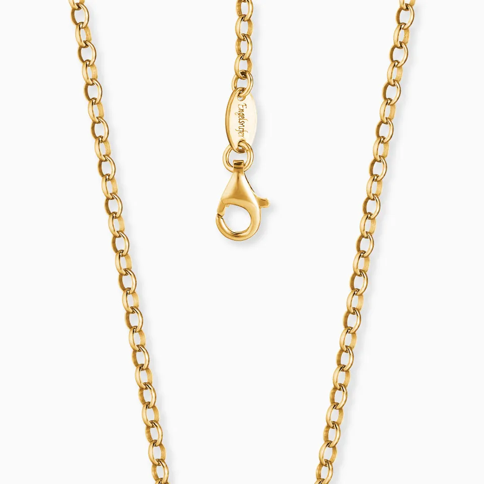 engelsrufer-ankerkette-925er-silber-mit-goldbeschichtung image 1