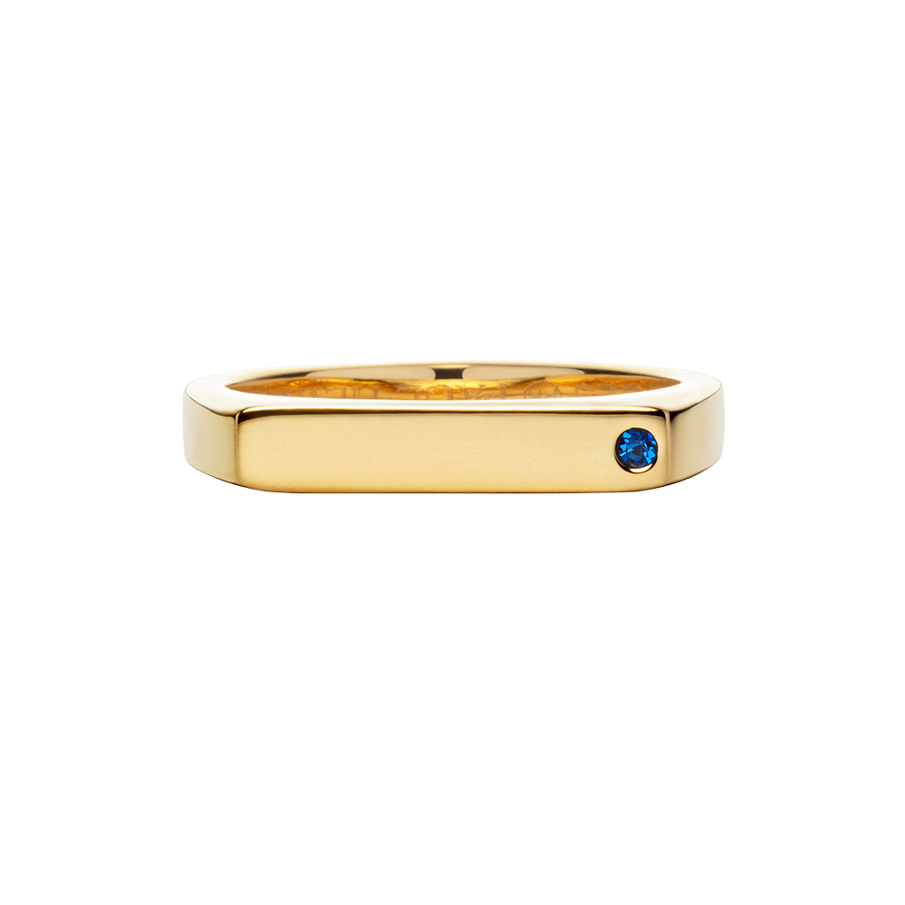 paul-hewitt-ring-signet-brilliant-cut-gold-siegelring-aus-925er-sterlingsilber-1 image 4