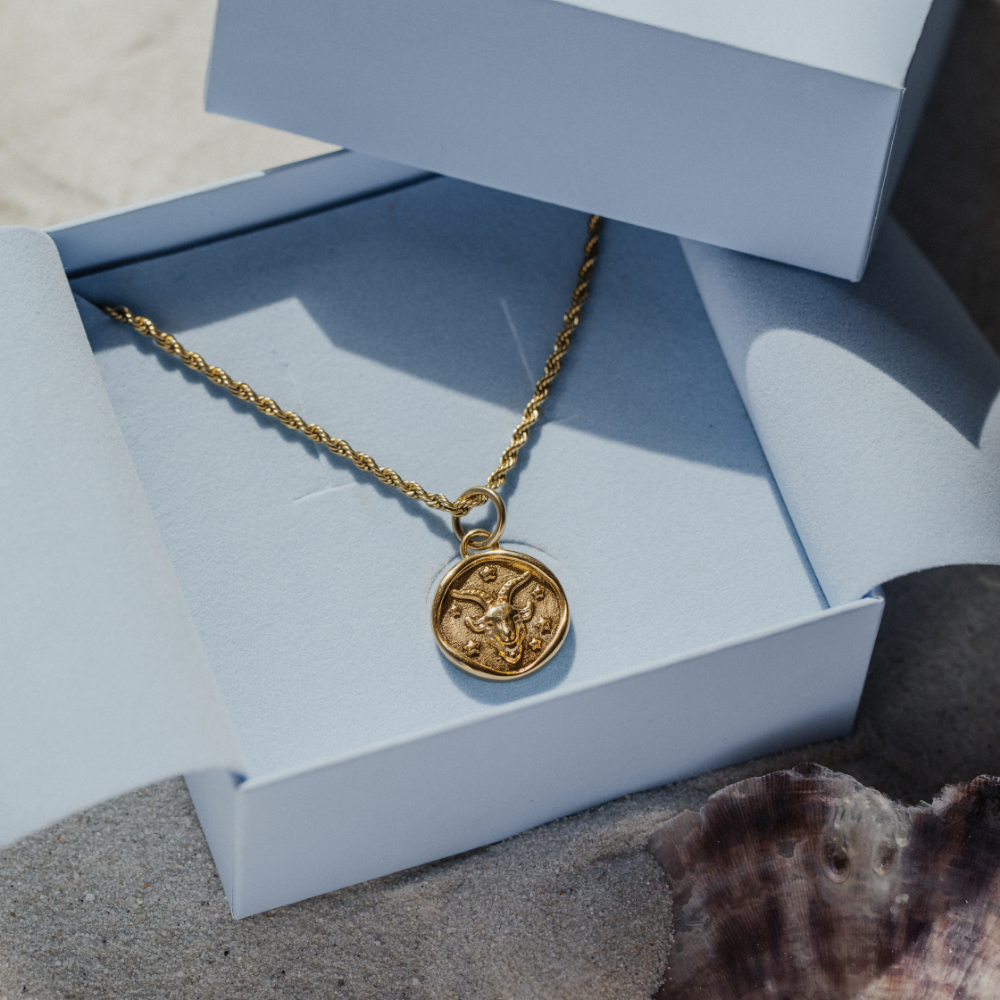 paul-hewitt-ocean-stories-capricorn-charm-gold image 3