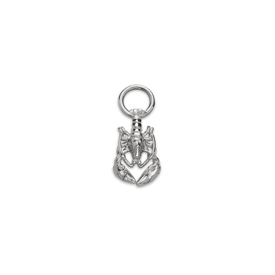 paul-hewitt-lobster-charm-silber image 1