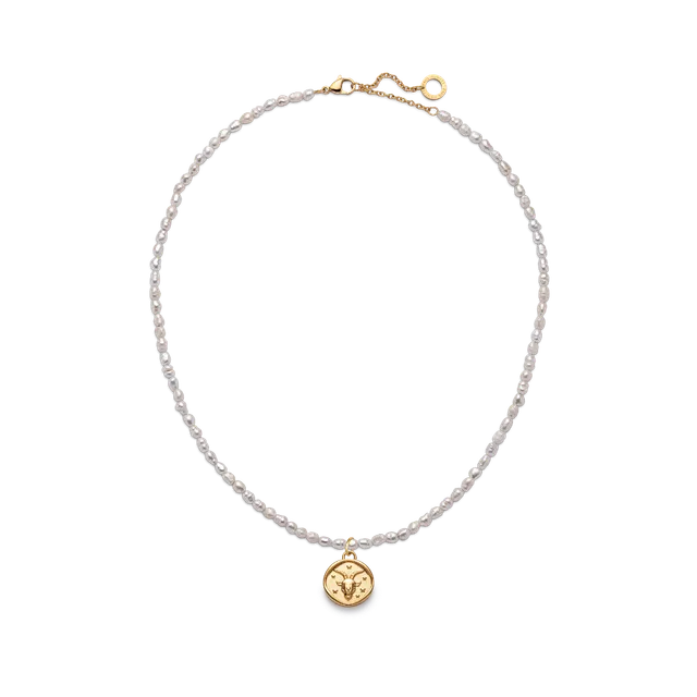 paul-hewitt-set-capricorn-charm-und-halskette-gold-sternzeichen-set-damen image 1