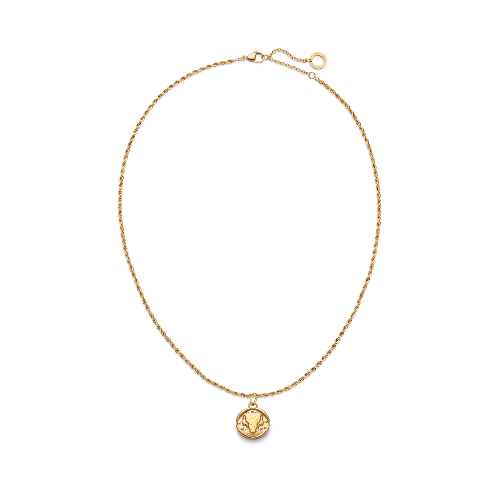 paul-hewitt-gemini-charm-und-halskette-gold-set image 2