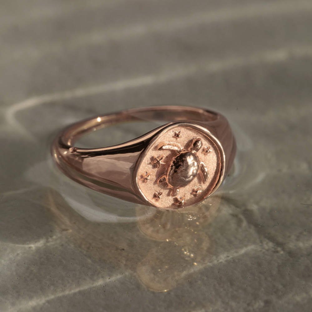 paul-hewitt-turtle-signet-ring-ros-gold image 3