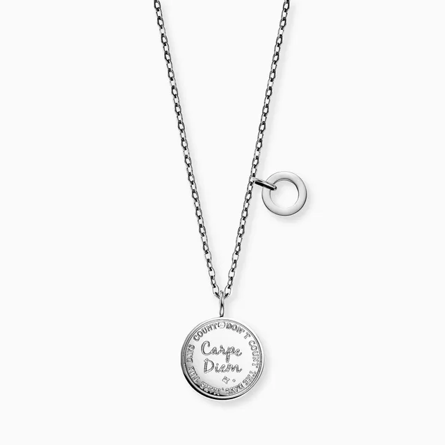 mysteel-by-engelsrufer-halskette-edelstahl-silber-carpe-diem-mit-gru-karte image 1