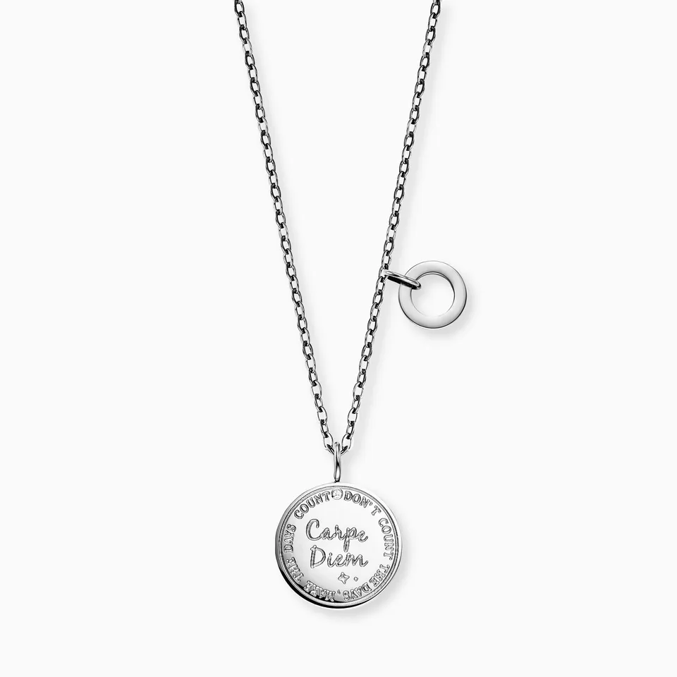 mysteel-by-engelsrufer-halskette-edelstahl-silber-carpe-diem-mit-gru-karte image 1