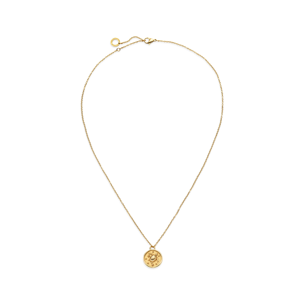 paul-hewitt-turtle-coin-halskette-gold image 1