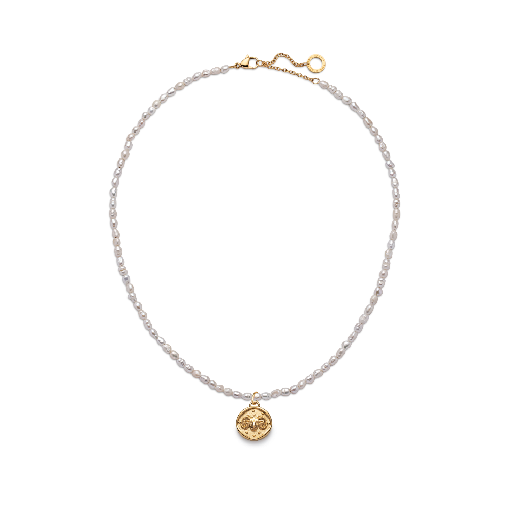 paul-hewitt-set-aries-charm-und-halskette-gold image 2