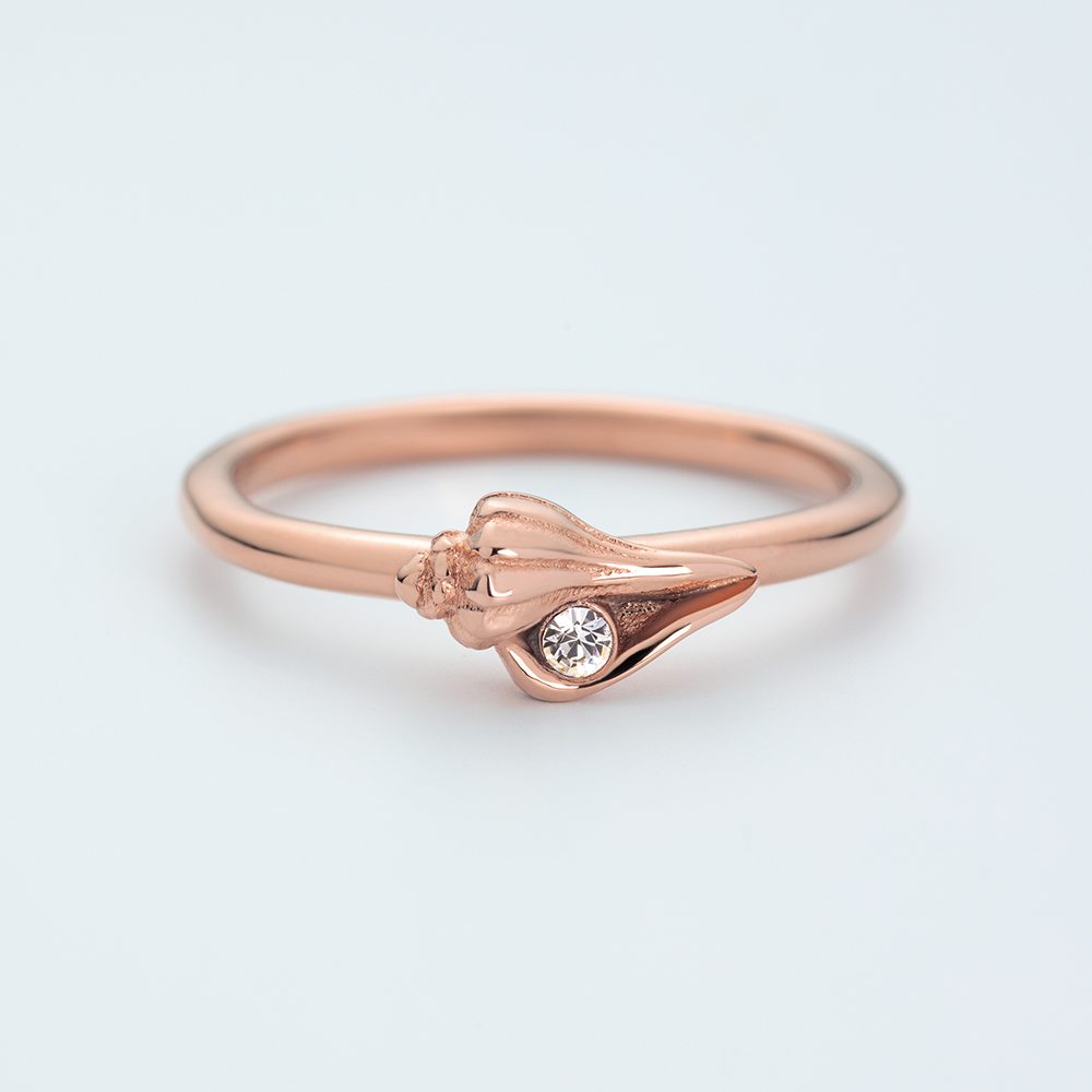 paul-hewitt-sea-shell-ring-ros-gold-damen-ring-muschel image 2