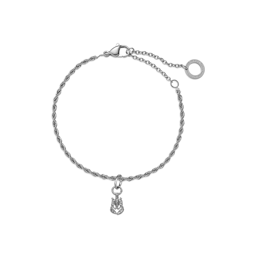paul-hewitt-set-lobster-charm-und-armkette-silber-charm-set-damen image 1
