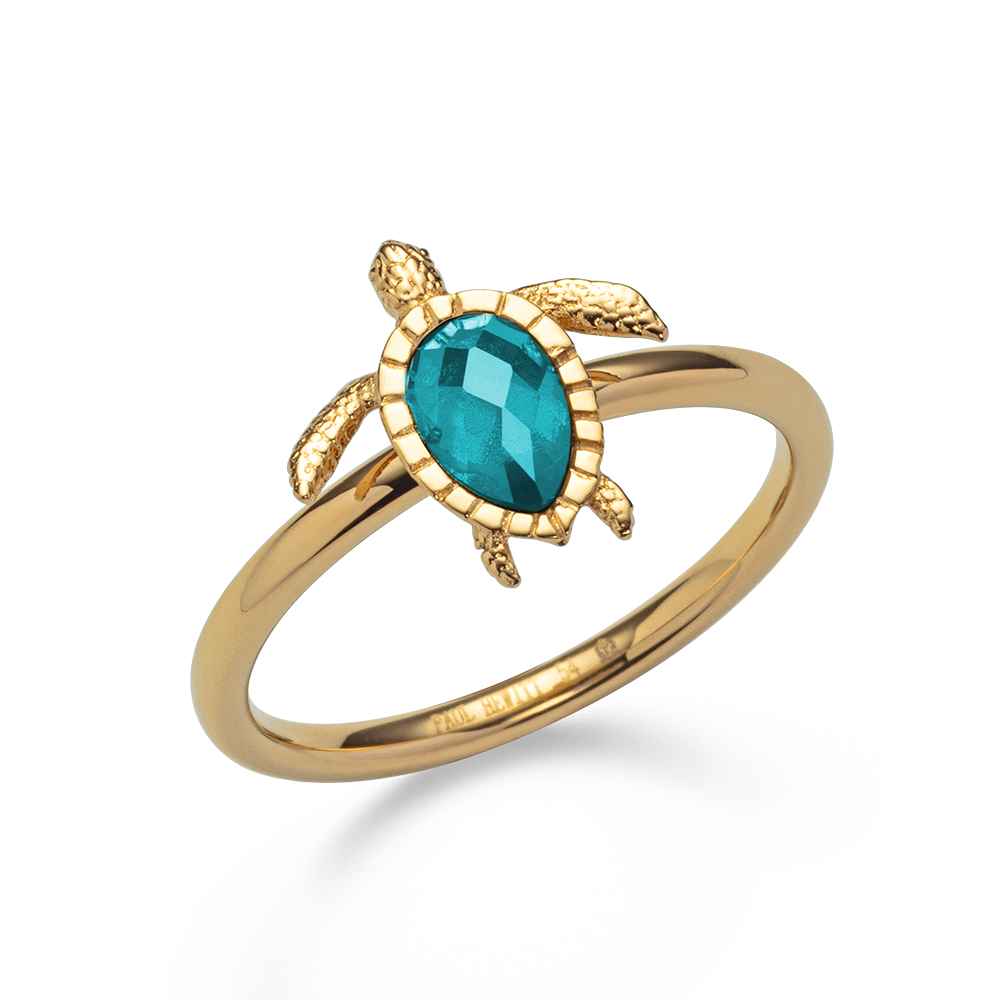 paul-hewitt-turtle-ring-aquamarine-gold-gl-cksbringer-ring image 6