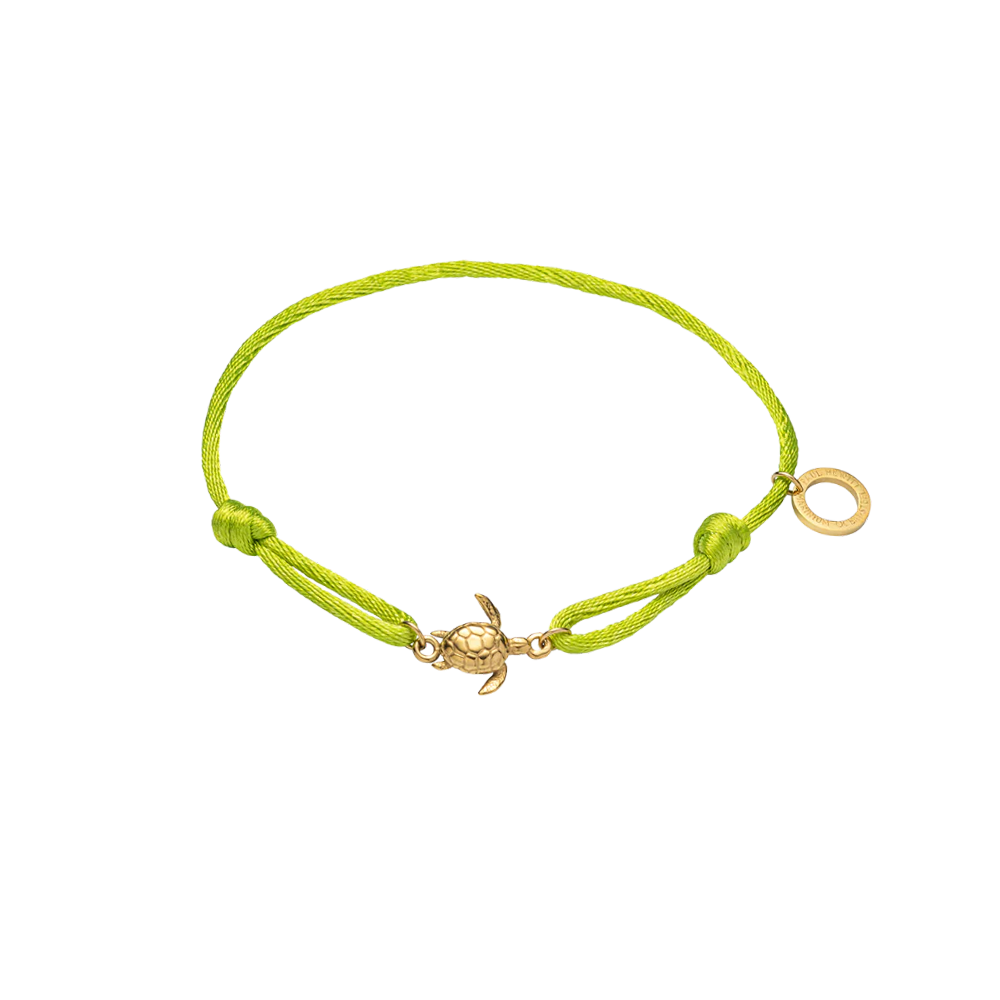 paul-hewitt-turtle-band-seaweed-green-einheitsgr-e image 1