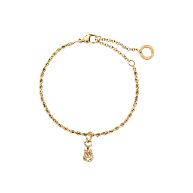 paul-hewitt-set-lobster-charm-und-armkette-gold image 1