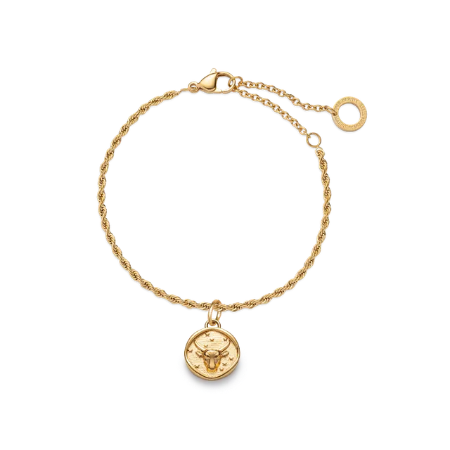 paul-hewitt-taurus-charm-und-armkette-set-gold image 1