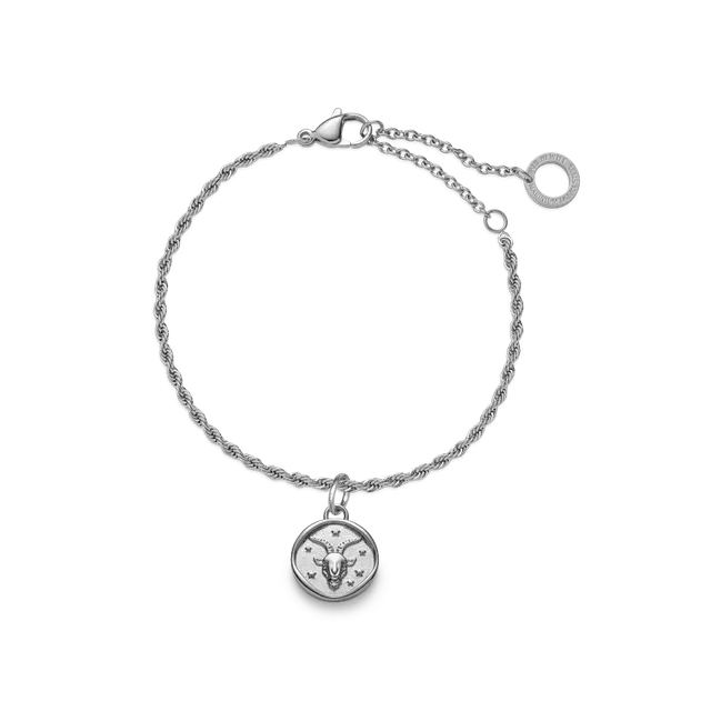 paul-hewitt-set-capricorn-charm-und-armkette-silber image 1