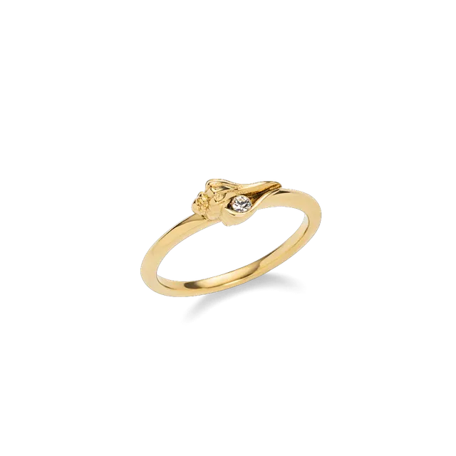 paul-hewitt-sea-shell-ring-gold-mit-zirkonia-muschel image 1