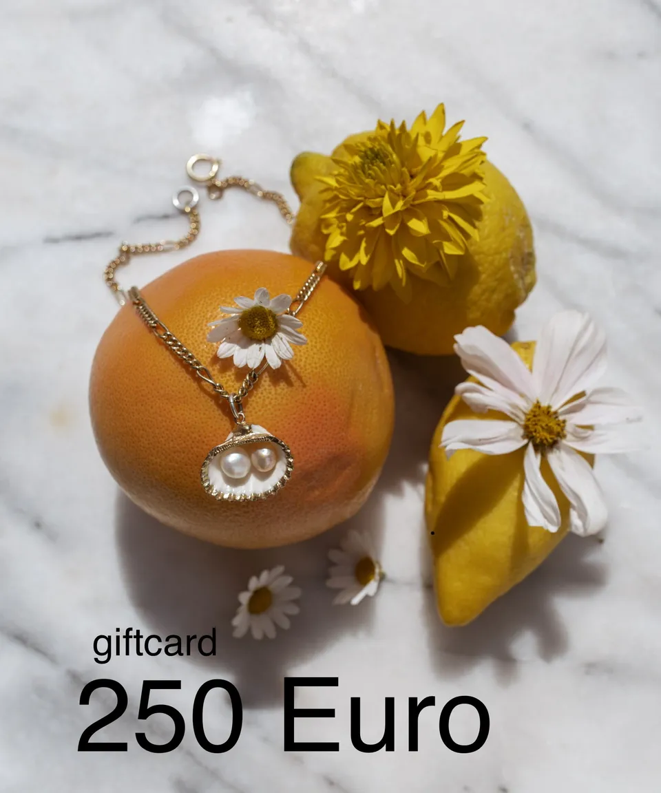 wald-berlin-250-geschenkgutschein-happy-holidays-gift-card image 1