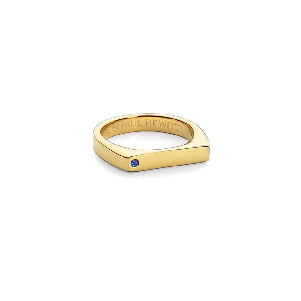 paul-hewitt-ring-signet-brilliant-cut-gold-siegelring-aus-925er-sterlingsilber-1 image 1