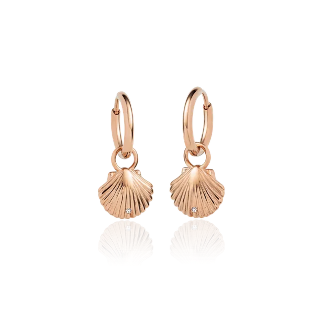 paul-hewitt-scallop-ohrring-ros-gold image 1