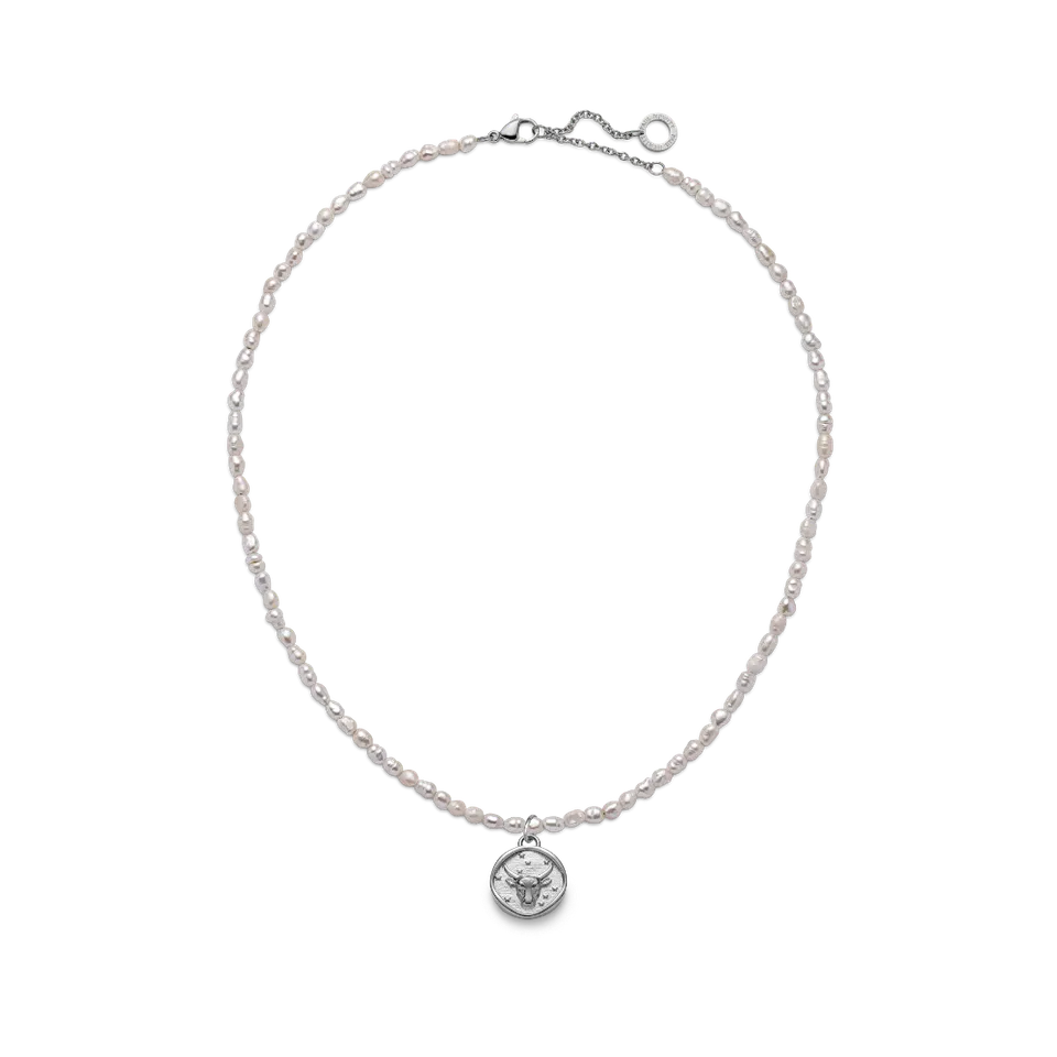 paul-hewitt-taurus-charm-set-mit-halskette-silber image 1