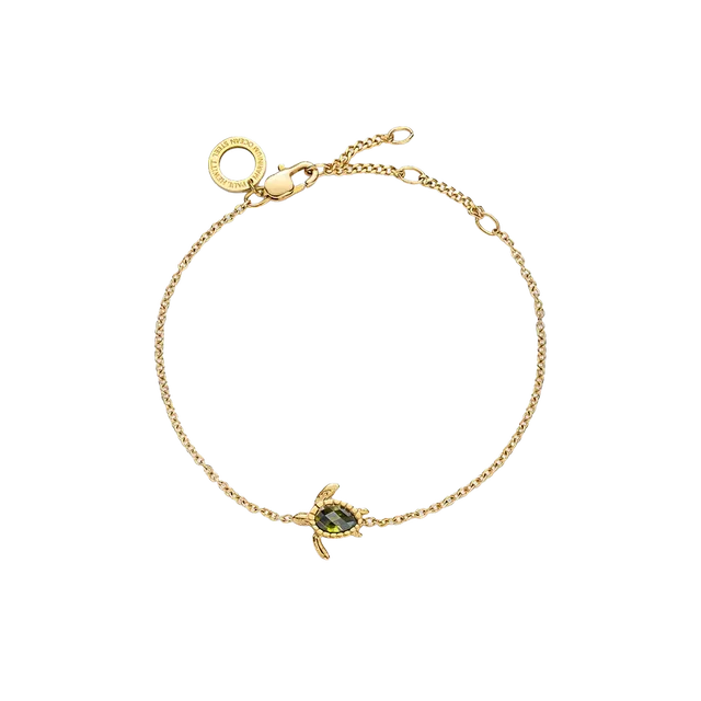 paul-hewitt-turtle-mono-armkette-gold image 1