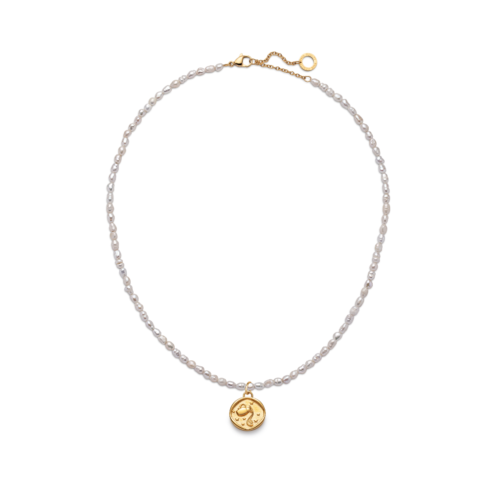 paul-hewitt-aquarius-charm-halsketten-set-gold image 1